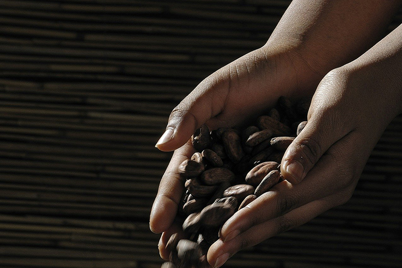 hoe chocolade bewaren